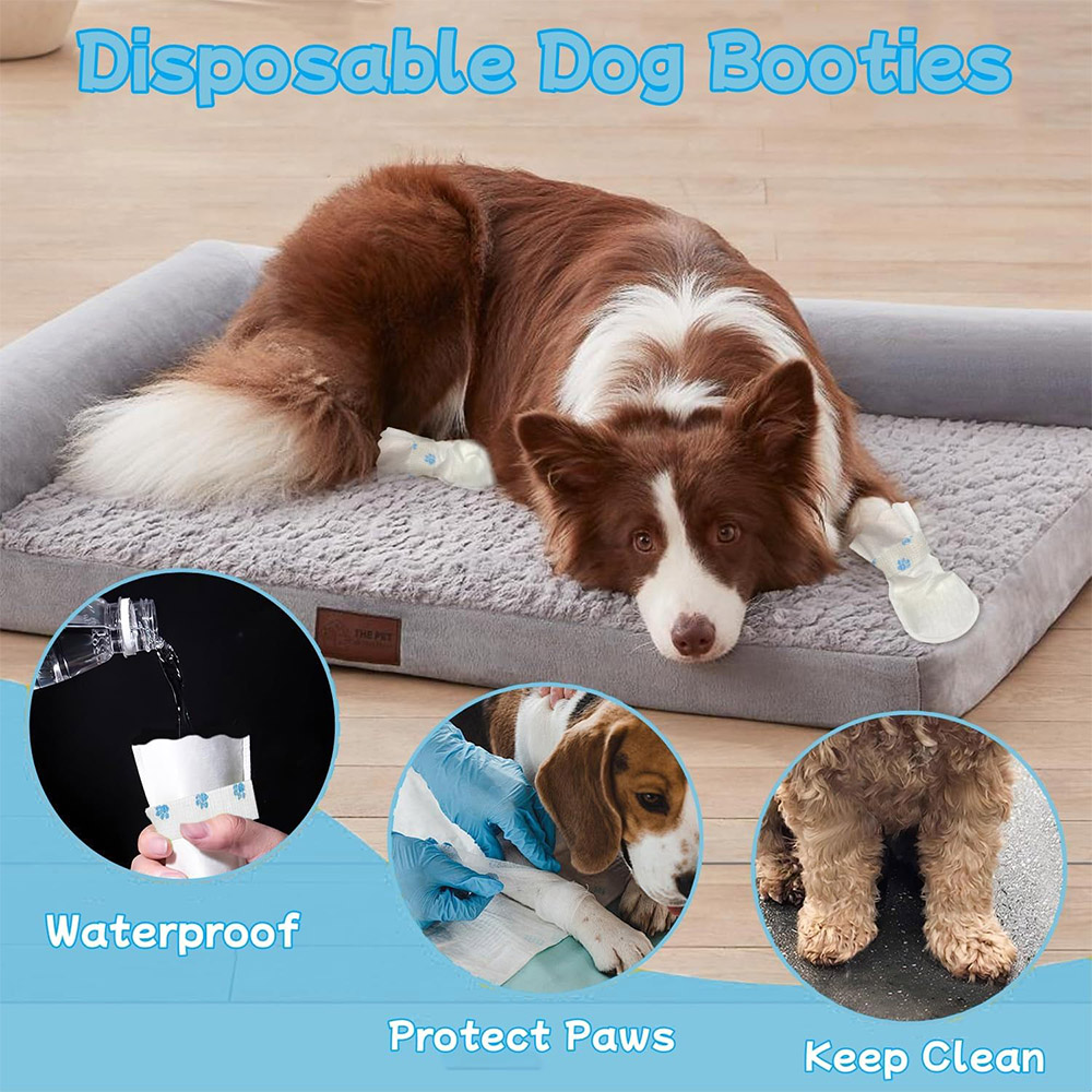 20/40PCS Pet Disposable Paw Sh - Dust Shoe Cnc incelemesi ve fiyatı